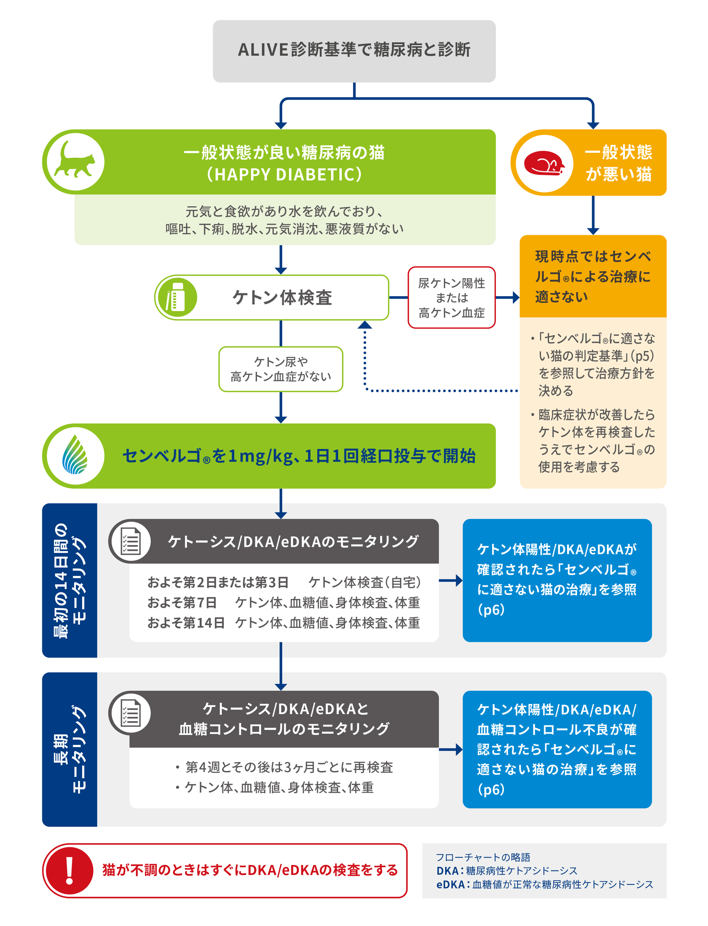 糖尿病管理のフローチャート