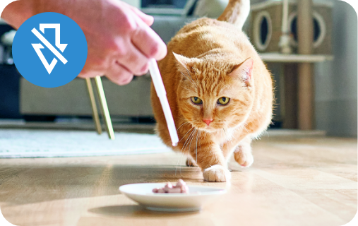 cat looking at a bowl of food, with a "no drop" icon in the top left